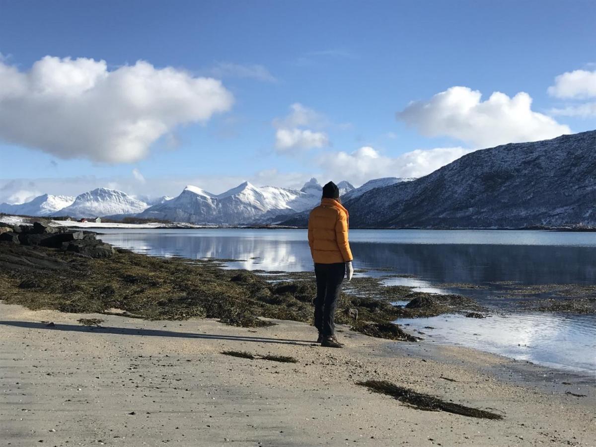 Steigen Lodge Sjohytter Engeloya Exterior foto